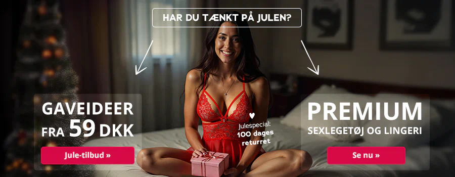 Billedet viser en reklame med en kvinde, der bærer rødt lingeri, sidder på en seng og smiler. I det øverste område står der »Har du tænkt på julen?«. I baggrunden kan man se en pyntet juletræ. Kvinden holder en gave i hænderne. Ved siden af står der »Julespecial: 100 dages returret« og et hjerte-symbol. Der er to store kasser med hver deres reklameslogan. Den ene har hvid skrift med teksten »Gaveideer fra 59 DKK« og nedenunder en rød knap med teksten »Jule-tilbud«. Den anden boks har hvid skrift med teksten »Premium legetøj og lingeri« og nedenunder en rød knap med teksten »Se nu«.