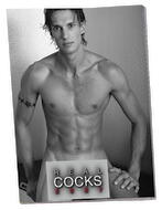 Pin-up-kalender "Real Cocks 2027" i stort format