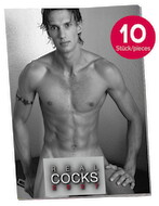 Pin-up Calendar Real Cocks 2027 – Pack of 10
