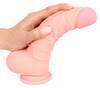 Medical Silicone Dildo