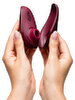 Erotisk julekalender "Couples" inklusive Womanizer Liberty og We-Vibe Sync Lite