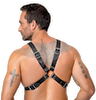 Læderbrystharness med markante kuppelnitter