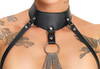 3-delt harness-sæt