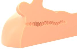 Hovedbillede af Masturbator "Perfect Ride"