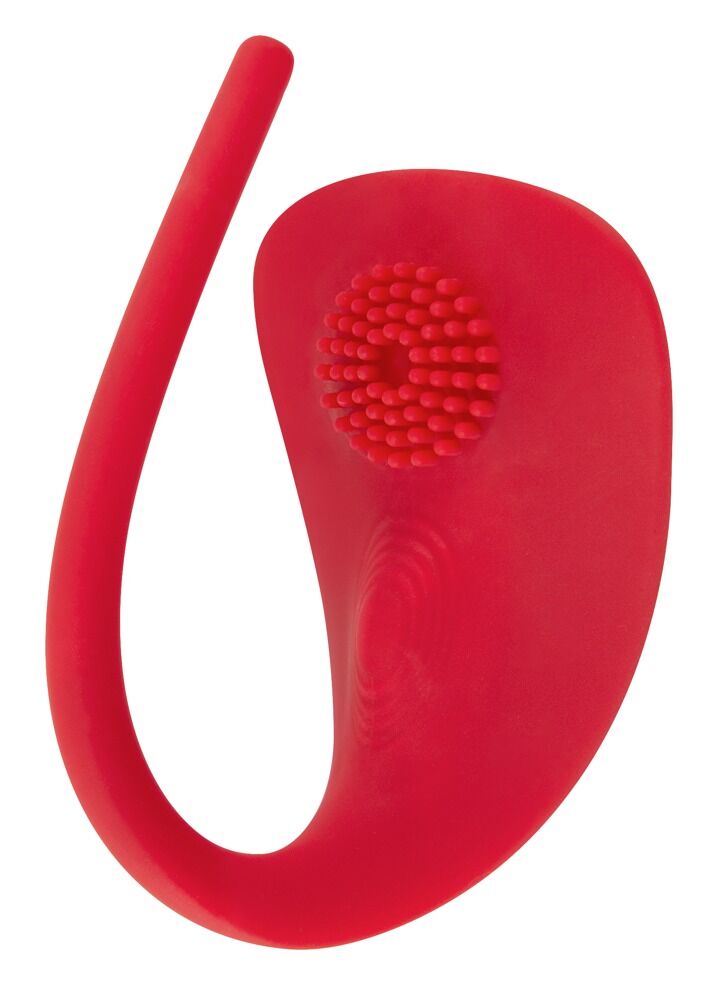 RC Panty Vibrator