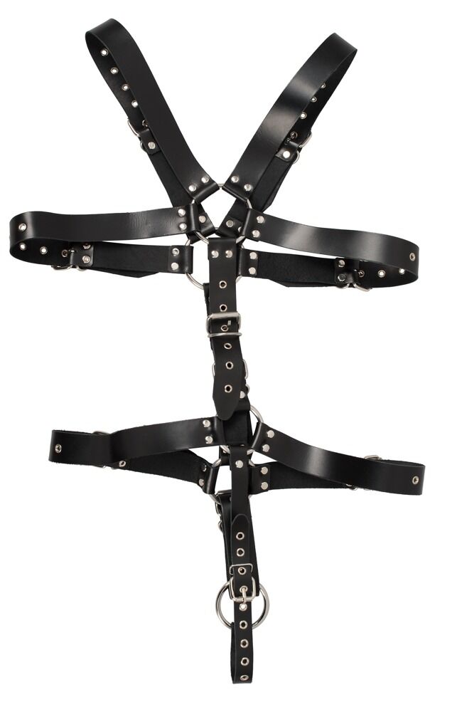 Harness