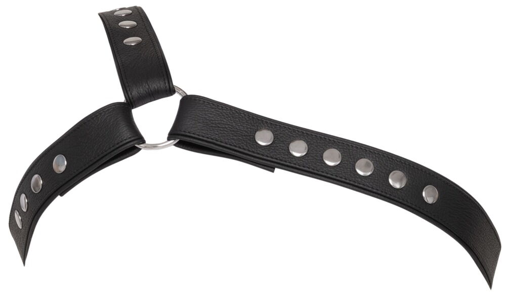 Læderbrystharness, ensidet