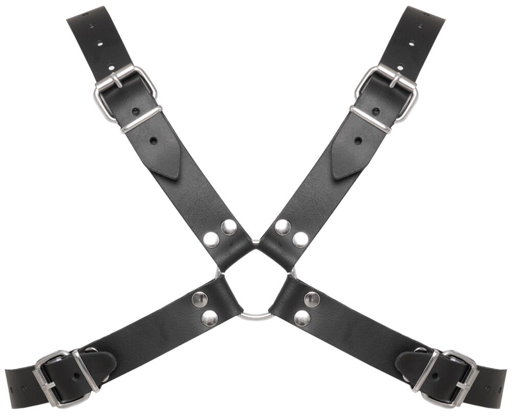 Læderbrystharness med markante kuppelnitter