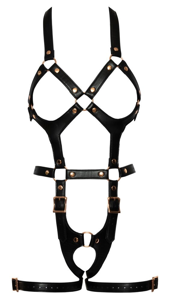 Harness