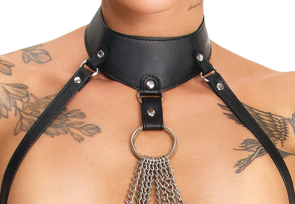3-delt harness-sæt