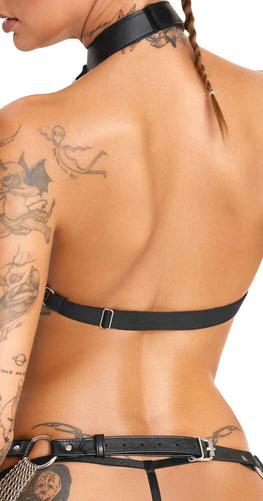 3-delt harness-sæt