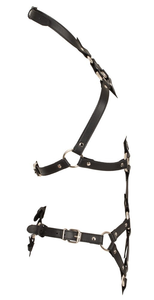 Harness-Body, multijusterbar