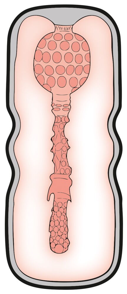 Masturbator i naturtro stil & følelse